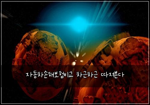자동차손해보험비교 차근차근 따져본다