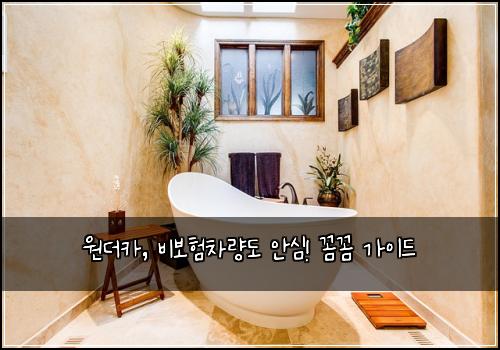 원더카, 비보험차량도 안심! 꼼꼼 가이드