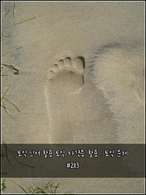 토익 단어 활용 토익 자격증 활용 : 토익 문제 #2113