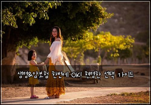 생명&암보험 한번에 OK! 현명한 선택 가이드
