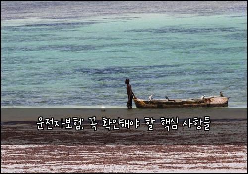 운전자보험: 꼭 확인해야 할 핵심 사항들