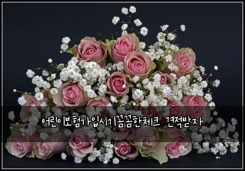 어린이보험가입시기꼼꼼한체크 견적받자
