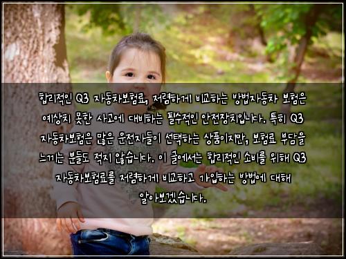  합리적인 Q3 자동차보험료, 저렴하게 비교하는 방법

자동차 보험은 예상치 못한 사고에 대비하는 필수적인 안전장치입니다. 특히 Q3 자동차보험은 많은 운전자들이 선택하는 상품이지만, 보험료 부담을 느끼는 분들도 적지 않습니다. 이 글에서는 합리적인 소비를 위해 Q3 자동차보험료를 저렴하게 비교하고 가입하는 방법에 대해 알아보겠습니다.