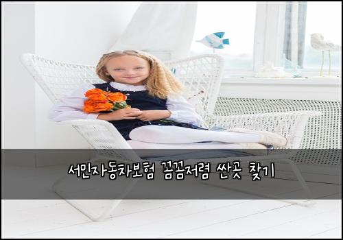 서민자동차보험 꼼꼼저렴  싼곳 찾기