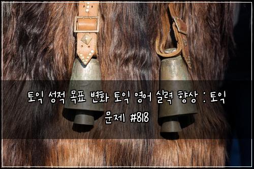 토익 성적 목표 변화 토익 영어 실력 향상 : 토익 문제 #818