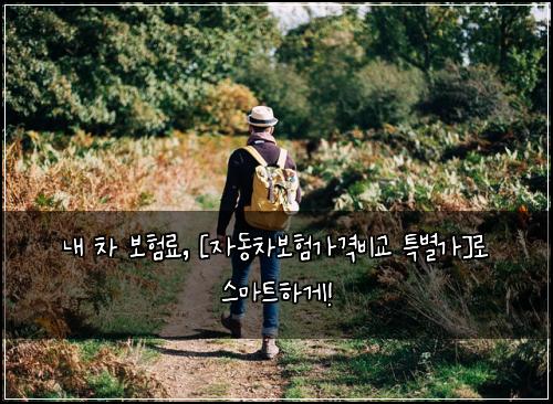  내 차 보험료, [자동차보험가격비교 특별가]로 스마트하게!