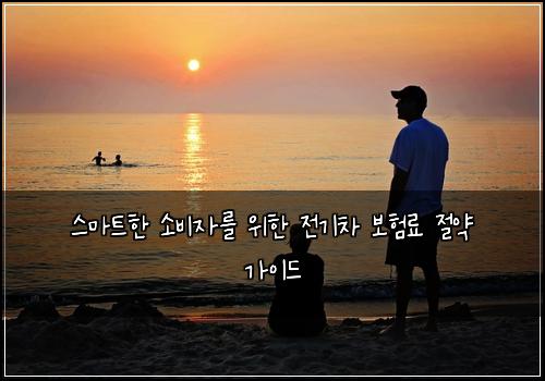  스마트한 소비자를 위한 전기차 보험료 절약 가이드