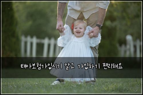 태아보험가입시기 알고 가입하기 편리해요