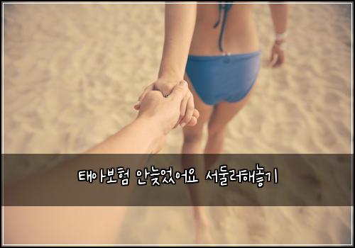 태아보험 안늦었어요  서둘러해놓기