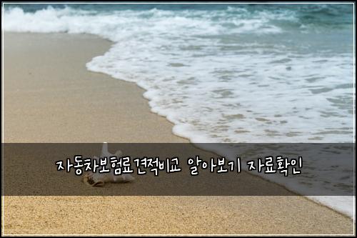 ์๋์ฐจ๋ณดํ๋ฃ๊ฒฌ์ ๋น๊ต ์์๋ณด๊ธฐ ์๋ฃํ์ธ