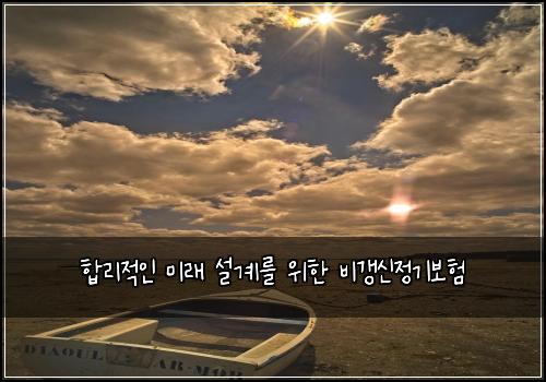  합리적인 미래 설계를 위한 비갱신정기보험