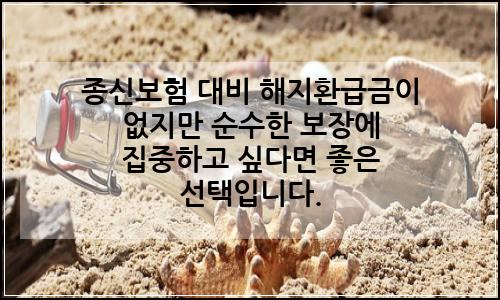 오늘의 이미지