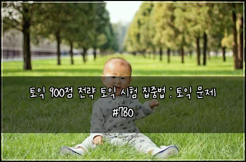 토익 900점 전략 토익 시험 집중법 : 토익 문제 #780