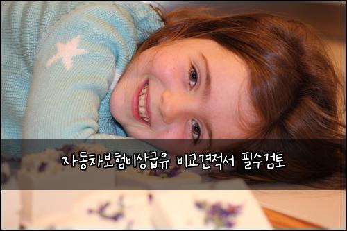 자동차보험비상급유 비교견적서 필수검토