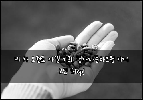  내 차 보험료 아낄 기회! 경차자동차보험 이제 고민 Stop!
