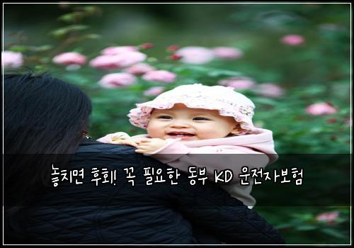  놓치면 후회! 꼭 필요한 동부 KD 운전자보험