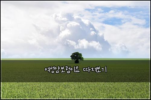 여성암보험이요 따져보기