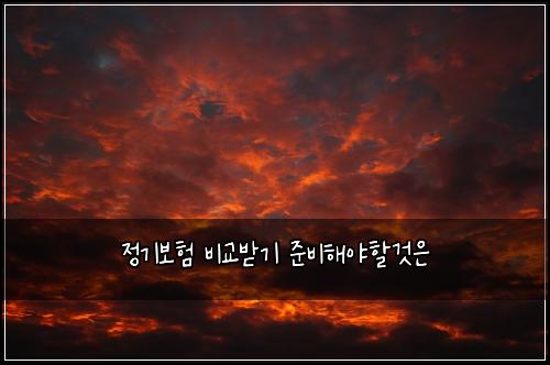 정기보험 비교받기  준비해야할것은