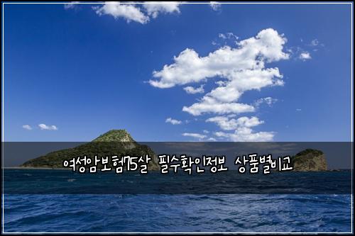여성암보험75살 필수확인정보 상품별비교