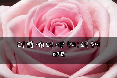 토익 빈출 어휘 토익 시간 관리 : 토익 문제 #1472