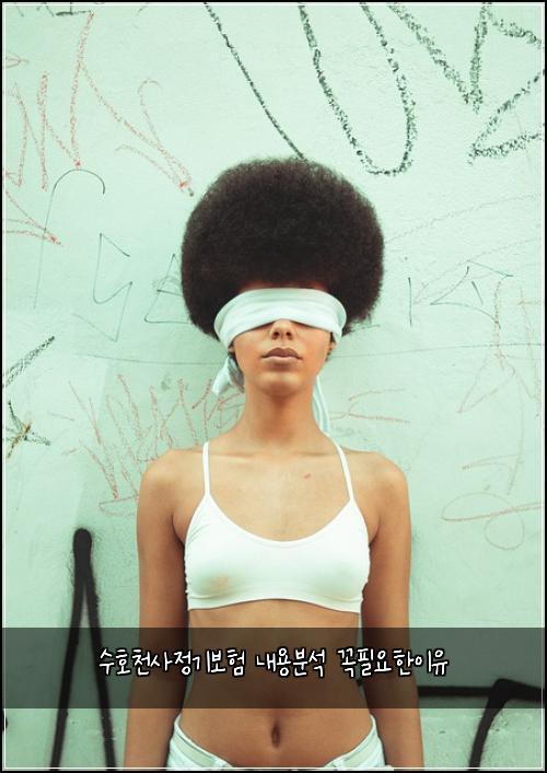 수호천사정기보험 내용분석  꼭필요한이유