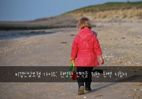 비갱신암보험 가이드: 현명한 선택을 위한 완벽 지침서