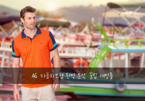 A6 자동차보험 완벽 분석: 꿀팁 대방출