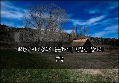 매리츠태아보험으로 든든하게! 현명한 엄마의 선택