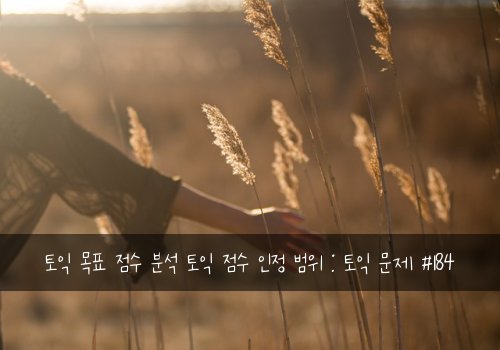 토익 목표 점수 분석 토익 점수 인정 범위 : 토익 문제 #184