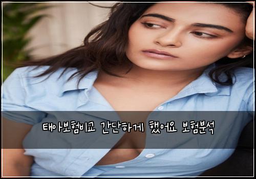 ํ์๋ณดํ๋น๊ต ๊ฐ๋จํ๊ฒ ํ์ด์ ๋ณดํ๋ถ์