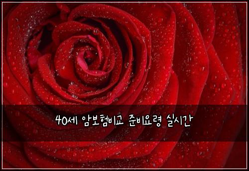 40세 암보험비교 준비요령 실시간